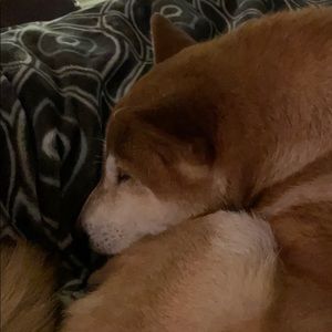 Meet your Posher, Mary